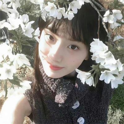春色满梨园
