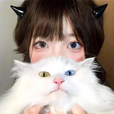 神台猫粤语